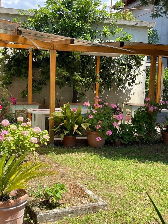 Casa Violetta Bed & Breakfast Marina di Massa Extérieur photo